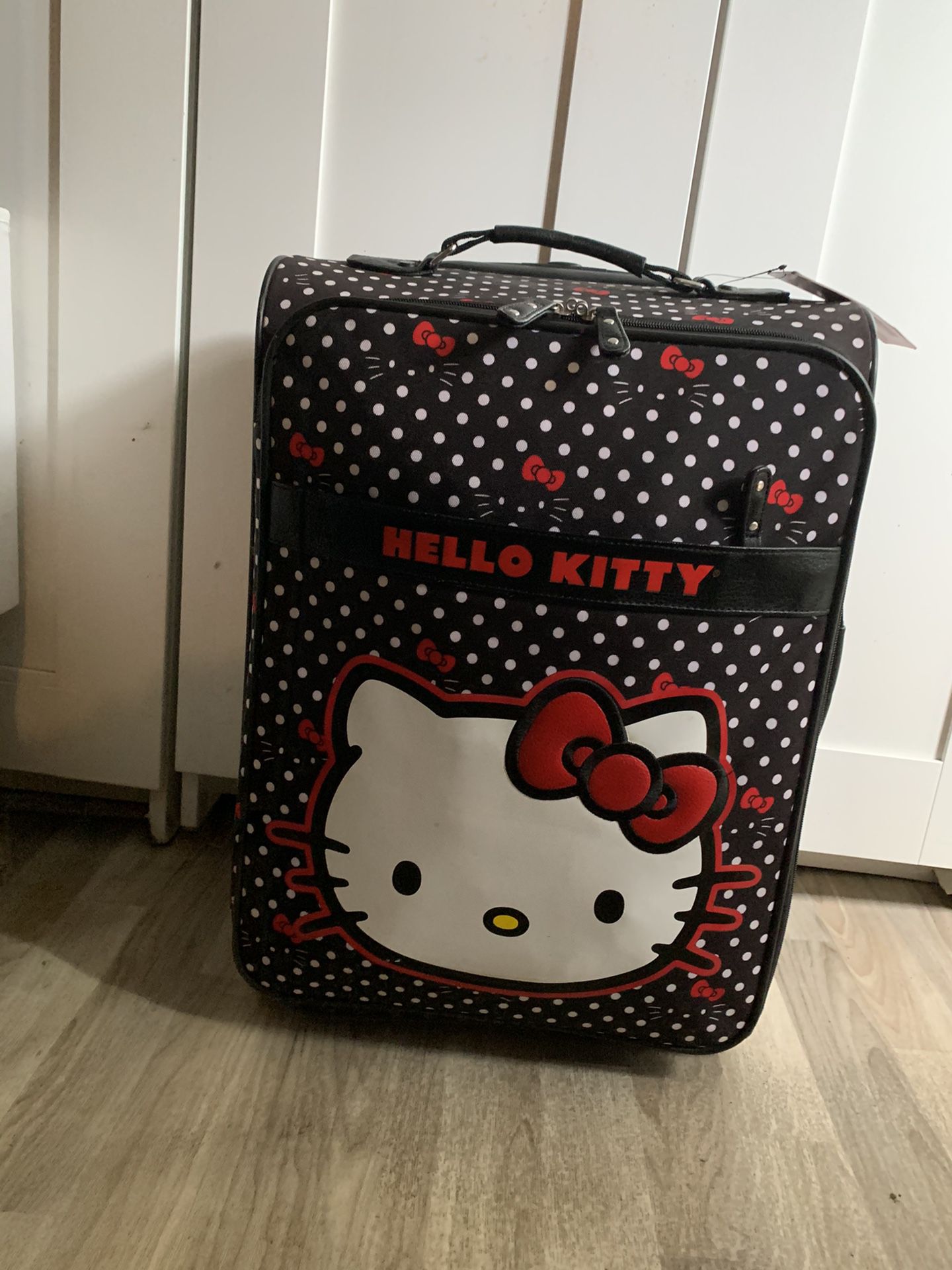 Hello kitty luggage