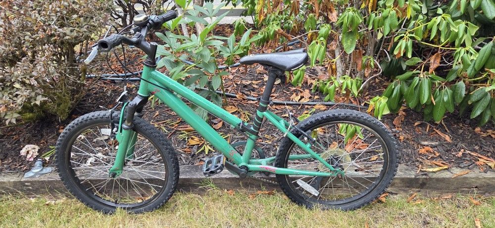 20" Mountain Bike