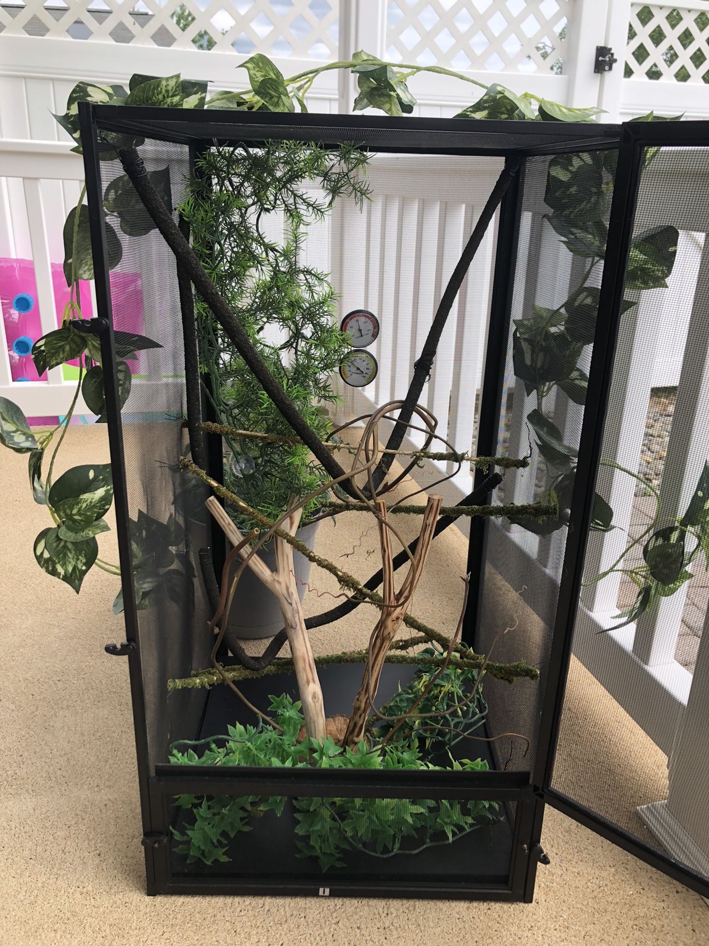 Reptile/Chameleon Kit