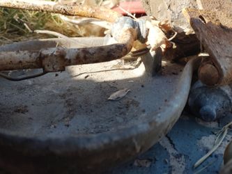 Rare find, metal seat