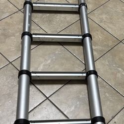 Telesteps 1600EP Telescoping Ladder
