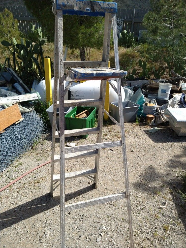 6ft Ladder