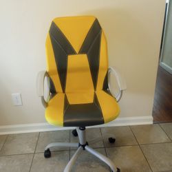 Computer/Desk Chair 