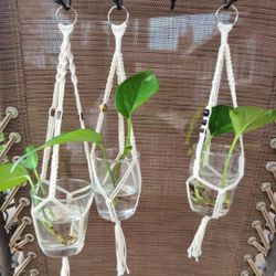 Handmade Macrame Plant Hangers