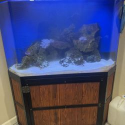 150 Gallon Fish Tank 