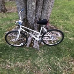 26” Single Speed Cruiser Bike 