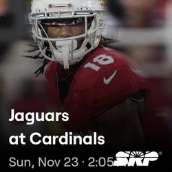 ARIZONA CARDINALS/ JAGUARS
