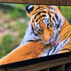 70 Inch Vizio Tv