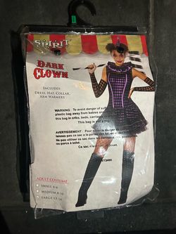 Adult Girl Clown Costume