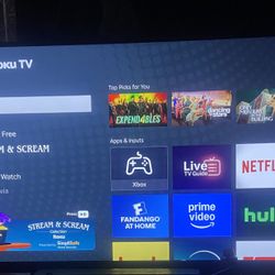 Roku Tv 55 Inch 
