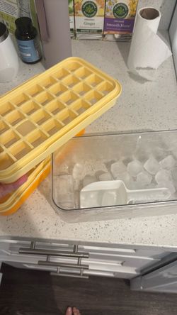 Ice Cube Tray with Storage Bin and Scoop