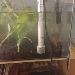 6 Gallon Fish Tank