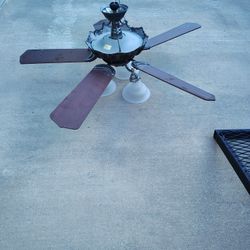 Ceiling Fan And Light 