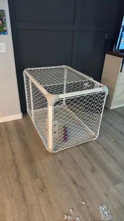 Diggs dog kennel