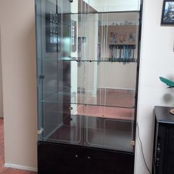 Black Display Case