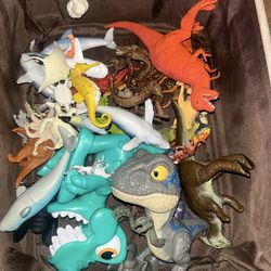 Dinosaurs and animals