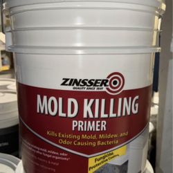 Zinsser Mold Killing Interior/Exterior Primer