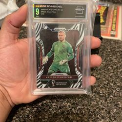 Kasper Schmeichel Zebra