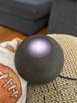 Apple HomePod mini Space Grey/Black w power adapter
