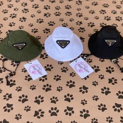 Xsmall & Small Dog Hats 