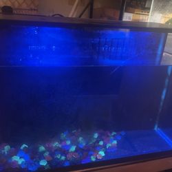 Small Aquarium 