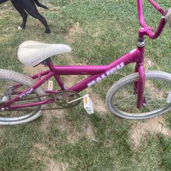 Girls Pink Malibu Bike