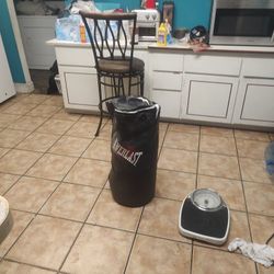 Everlast 50 Lb Punching Bag 