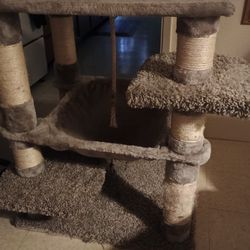 Cat Playground