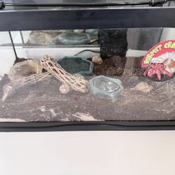 Hermit crab Aquarium 