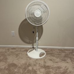 Fan