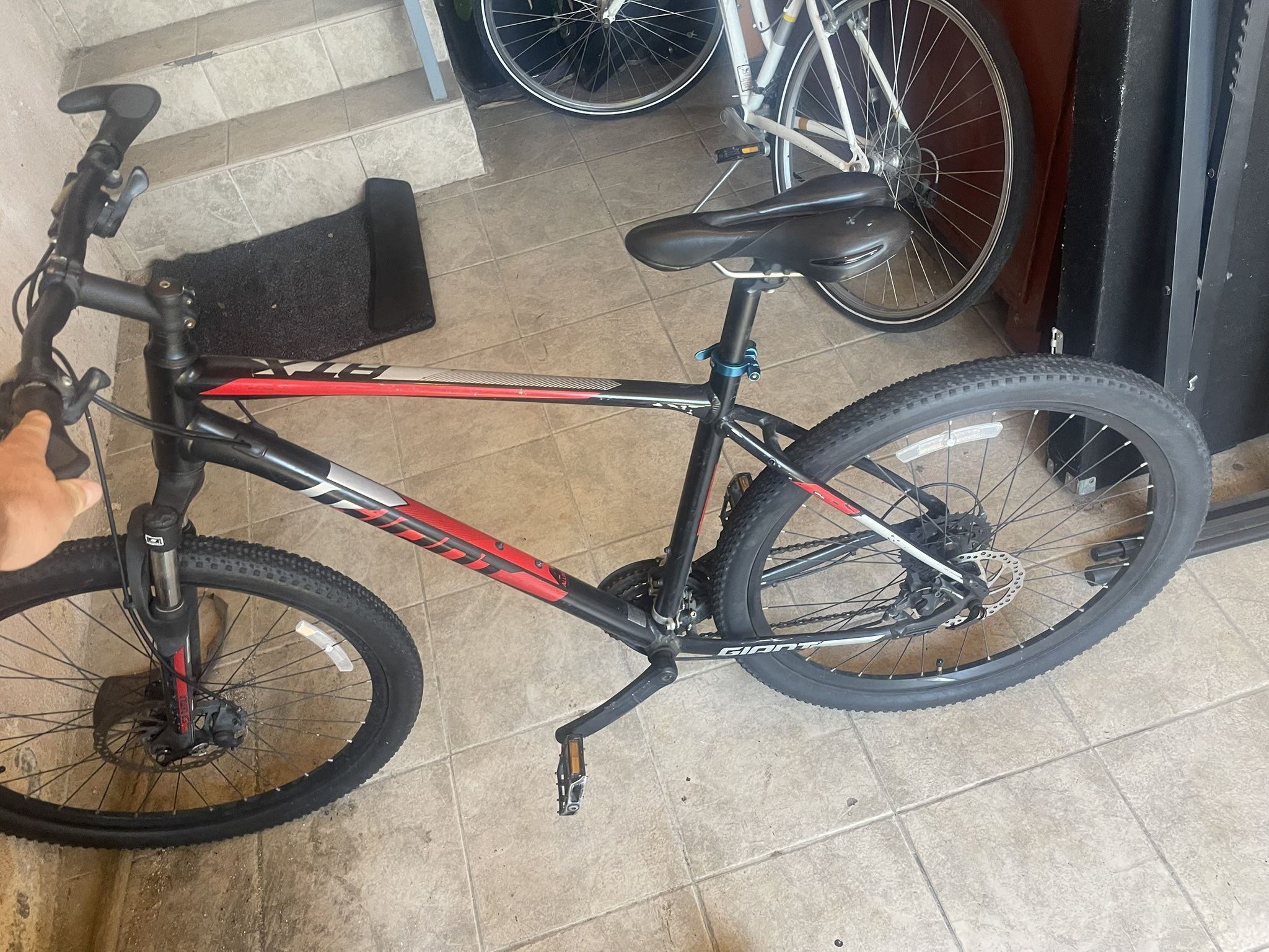 Giant Mountain Bike (Talon )