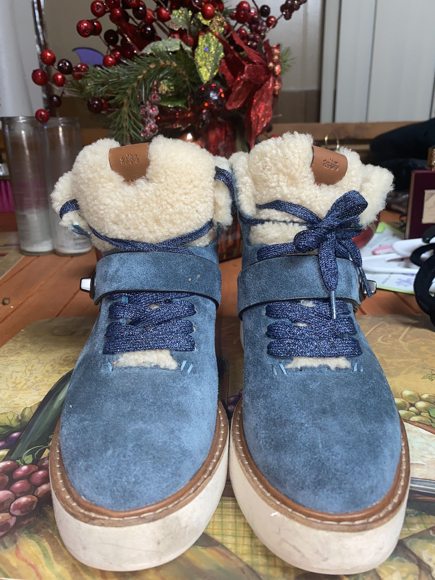 Coach Boots