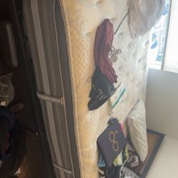 Queen Size Beauty Rest Mattress And Bed frame 