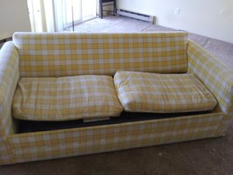 Cute Pullout Couch