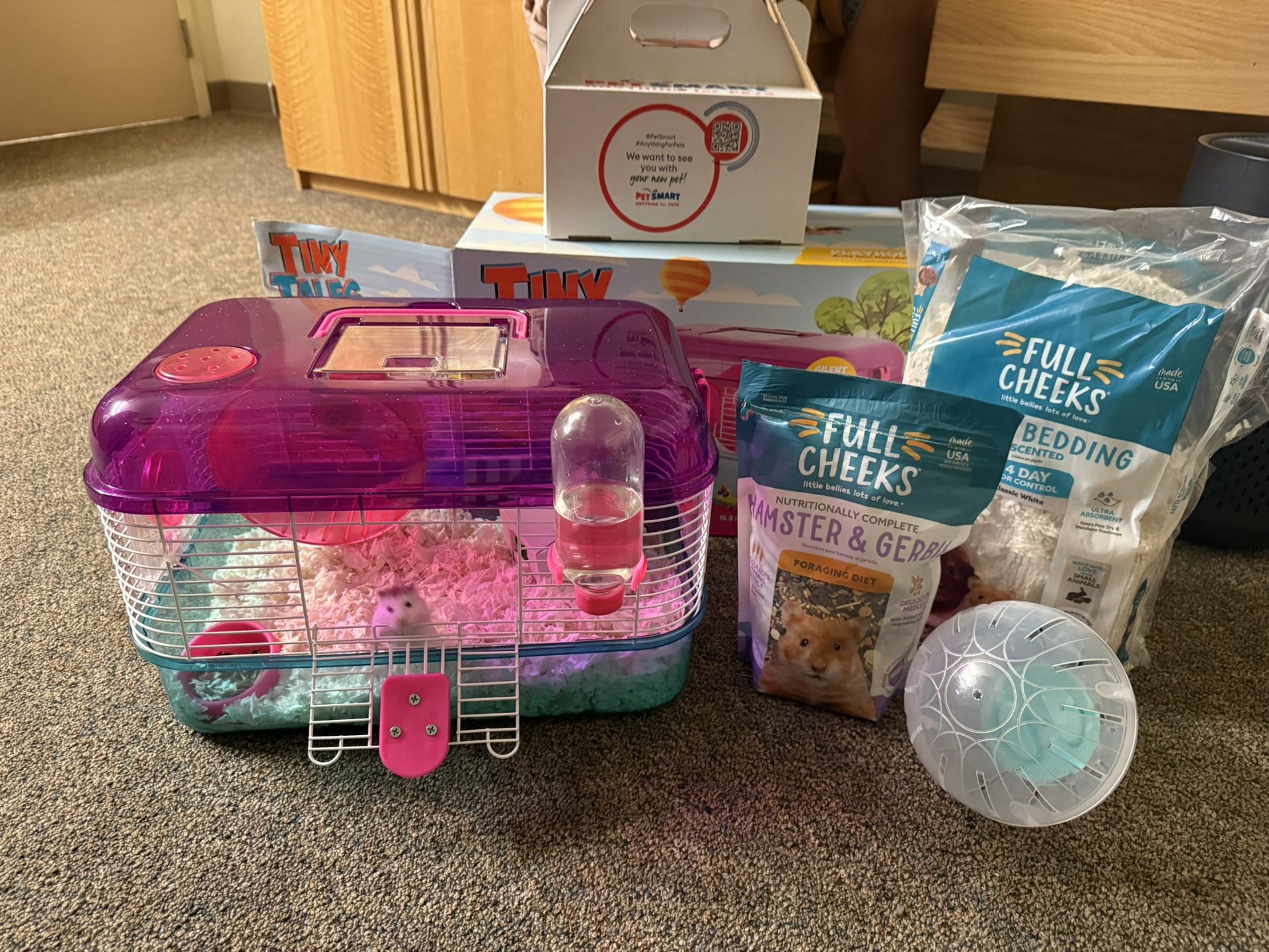 Dwarf Hamster With Cage And Food