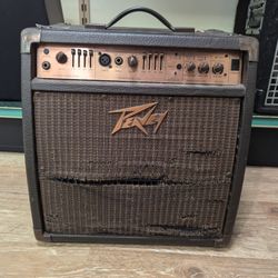 Peavey Ecoustic 110EFX Acoustic Guitar Amp