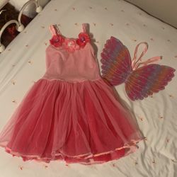 Fairy Costume