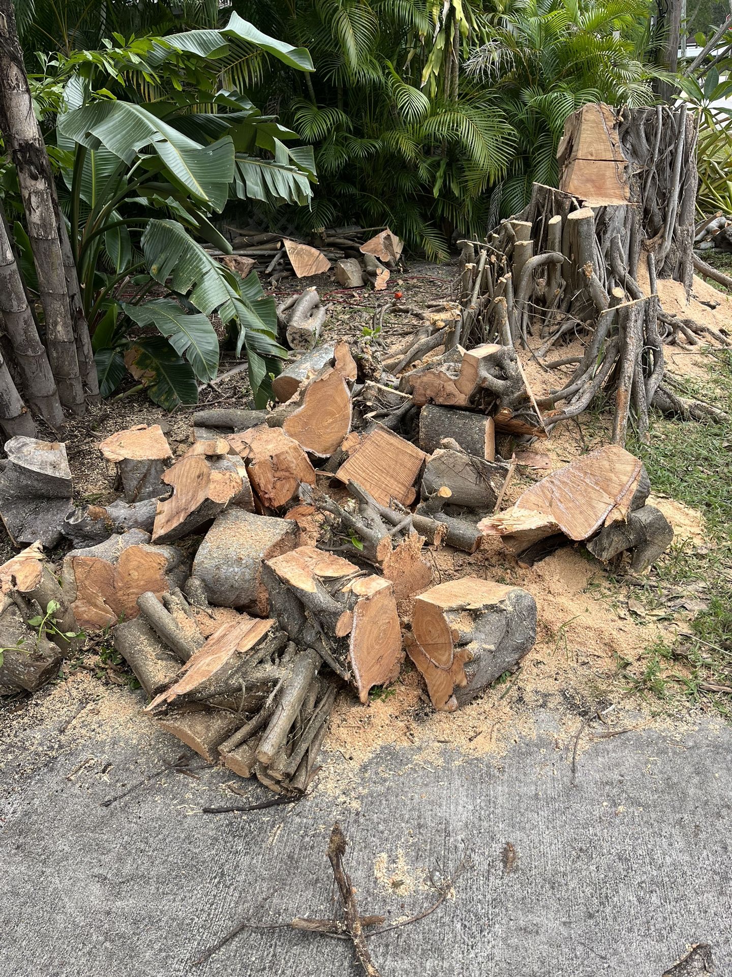 Free Firewood