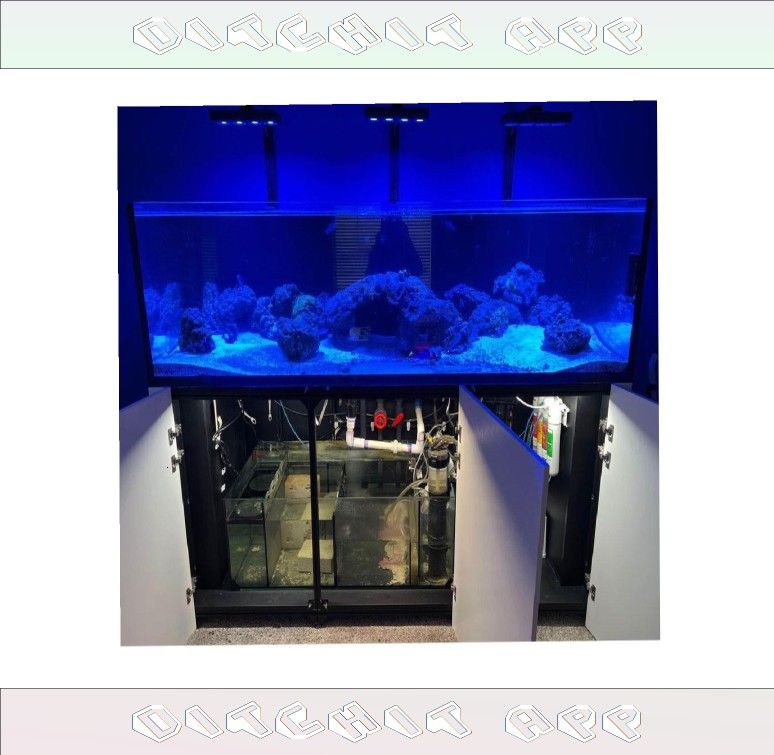 Massive Aquarium Tank - Wide & Stunning Display series ask