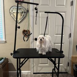 Dog Grooming Table