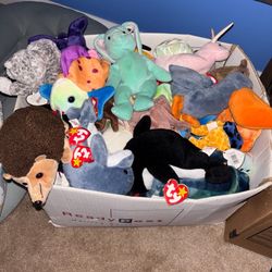 ‼️Beanie Baby Lot‼️