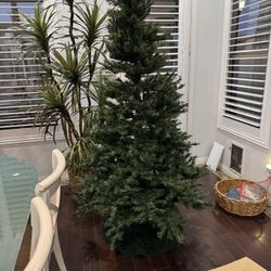 Christmas Tree 7ft Paddock pool