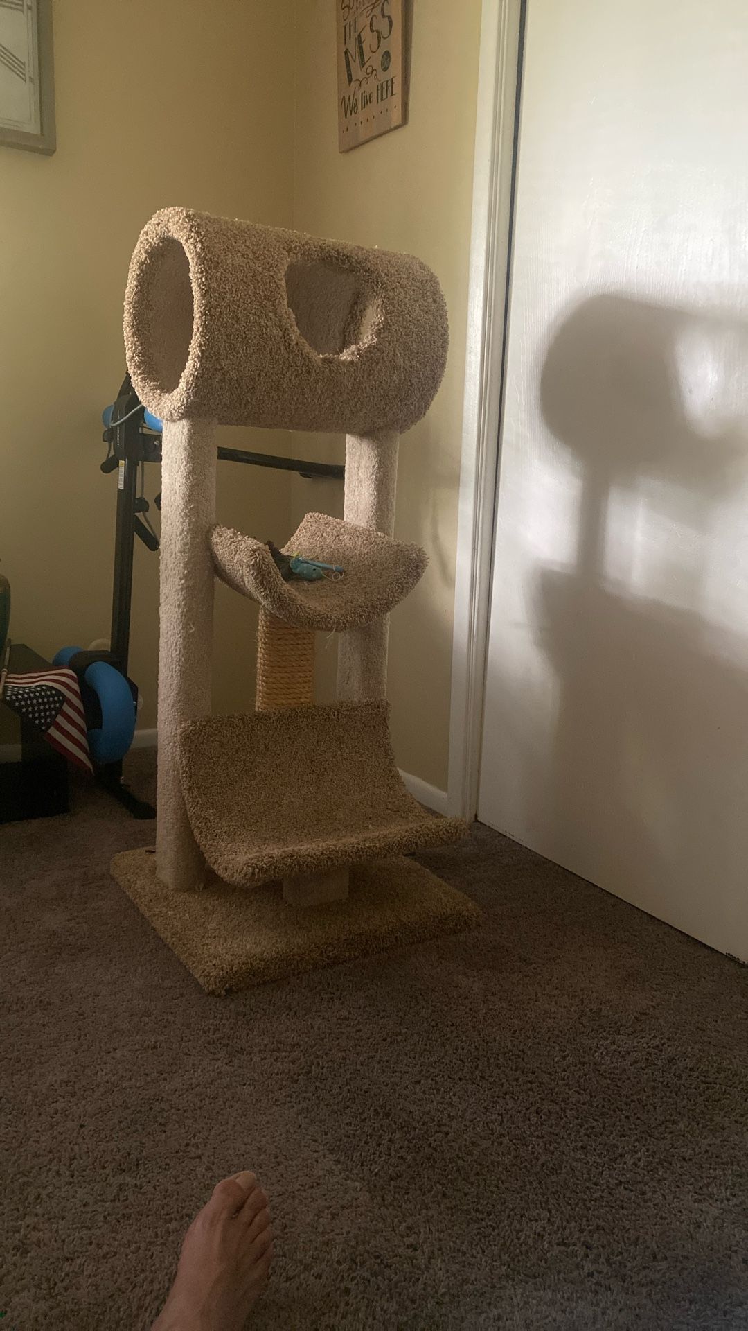 Cat Tower
