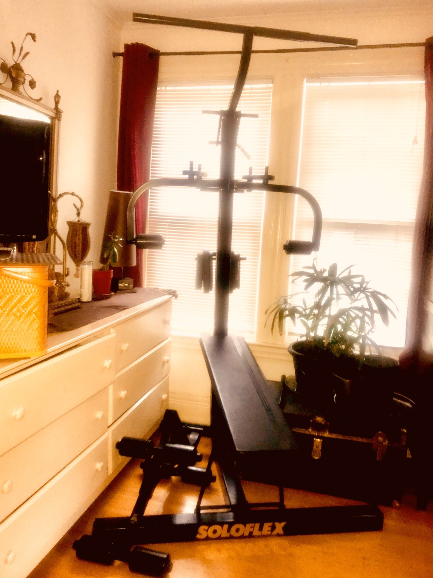 Home gym professional equipment Soloflex exercise prefer to have local buyer that would want to pick it up .