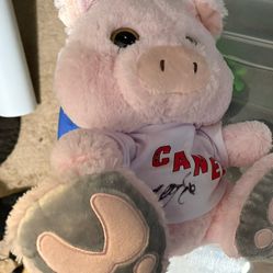 Autographed Carolina hurricanes plush