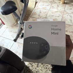 Home Mini