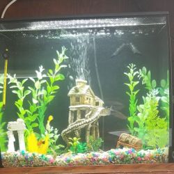 3 Fish Tank Lots Included 