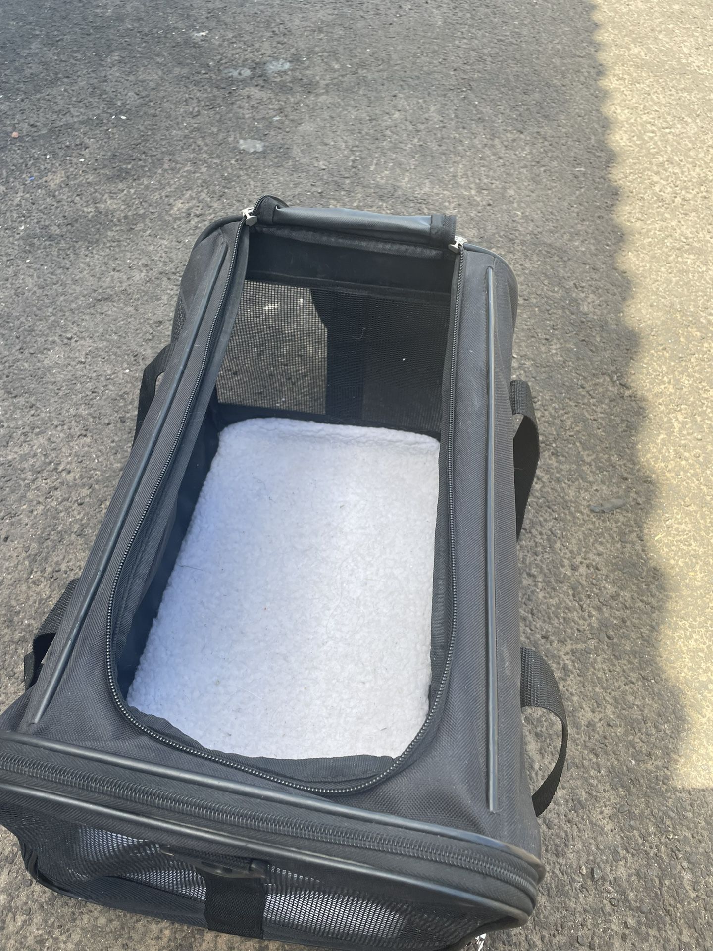 Pet carrier toys, and food and water bowls