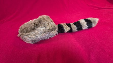 Disneyland Disney World Coon Skin Cap Daniel Boone Davy Crockett Childs Hat