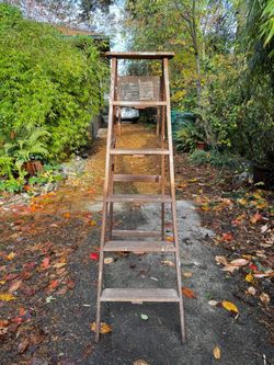 6 Foot Utility Ladder